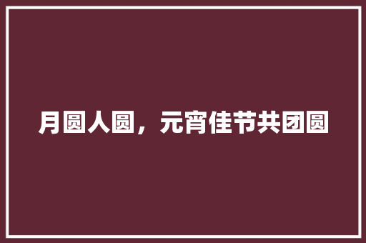 月圆人圆，元宵佳节共团圆