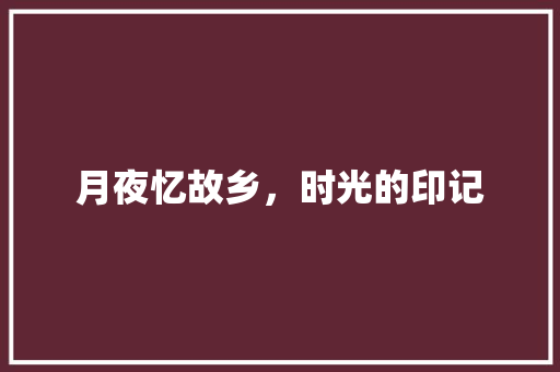 月夜忆故乡，时光的印记