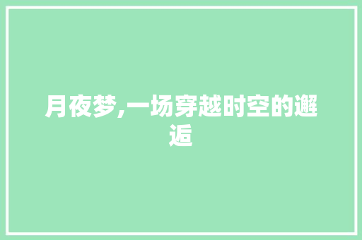 月夜梦,一场穿越时空的邂逅