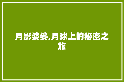 月影婆娑,月球上的秘密之旅