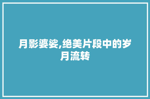 月影婆娑,绝美片段中的岁月流转