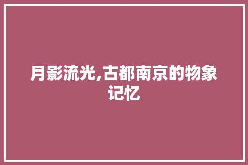 月影流光,古都南京的物象记忆