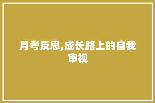 月考反思,成长路上的自我审视