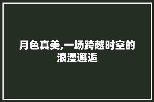 月色真美,一场跨越时空的浪漫邂逅