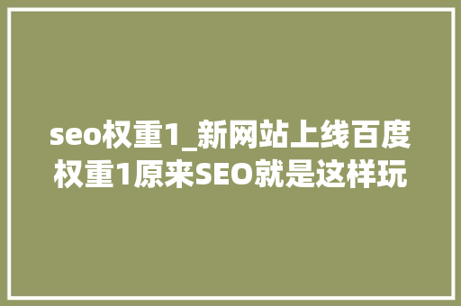 seo权重1_新网站上线百度权重1原来SEO就是这样玩的