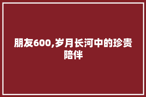 朋友600,岁月长河中的珍贵陪伴