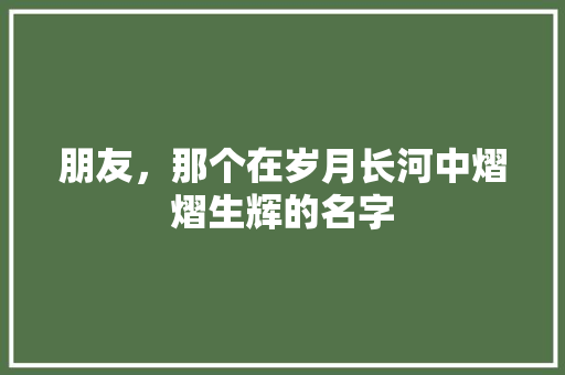 朋友，那个在岁月长河中熠熠生辉的名字