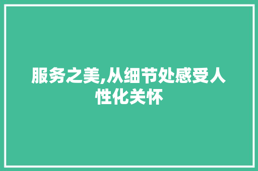 服务之美,从细节处感受人性化关怀