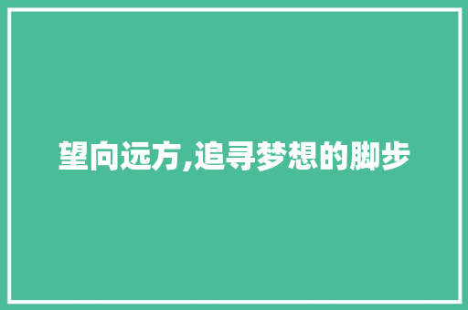 望向远方,追寻梦想的脚步