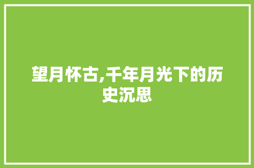 望月怀古,千年月光下的历史沉思