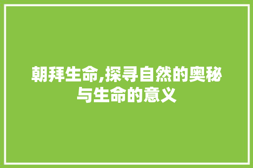 朝拜生命,探寻自然的奥秘与生命的意义