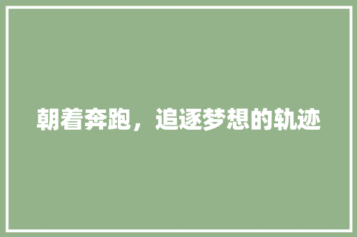 朝着奔跑，追逐梦想的轨迹