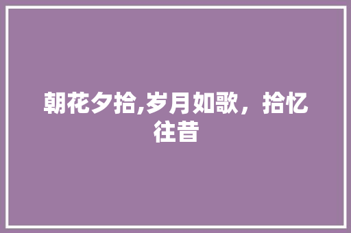 朝花夕拾,岁月如歌，拾忆往昔