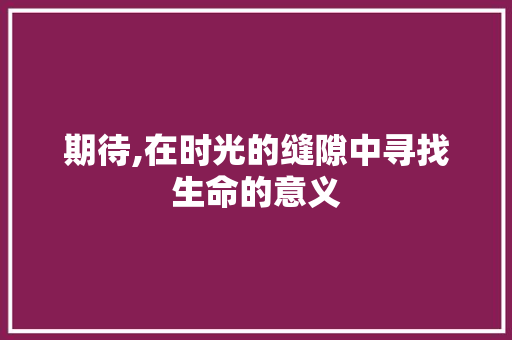 期待,在时光的缝隙中寻找生命的意义