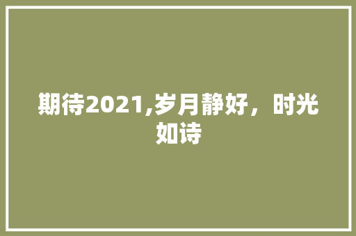 期待2021,岁月静好，时光如诗