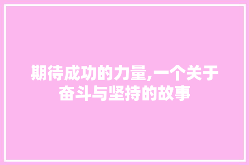 期待成功的力量,一个关于奋斗与坚持的故事