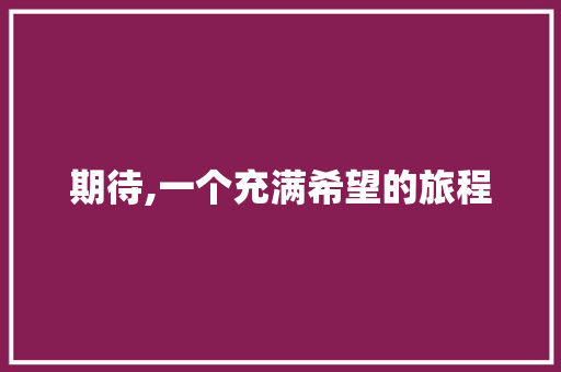 期待,一个充满希望的旅程