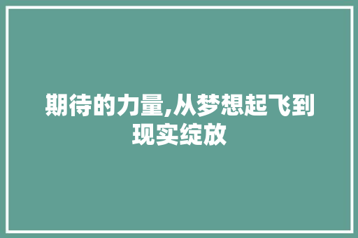 期待的力量,从梦想起飞到现实绽放