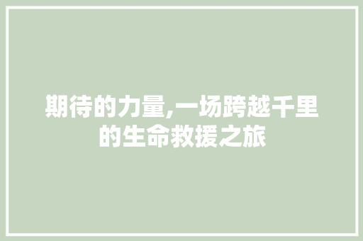 期待的力量,一场跨越千里的生命救援之旅