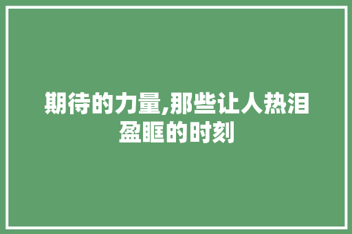 期待的力量,那些让人热泪盈眶的时刻