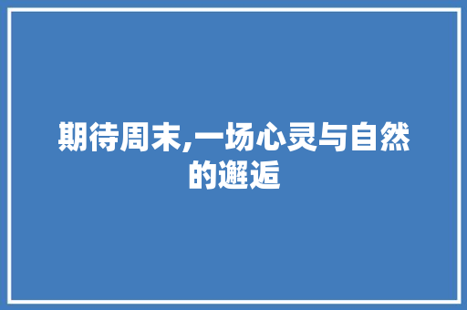 期待周末,一场心灵与自然的邂逅