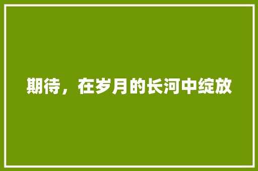 期待，在岁月的长河中绽放