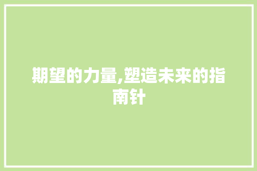 期望的力量,塑造未来的指南针