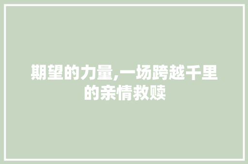 期望的力量,一场跨越千里的亲情救赎