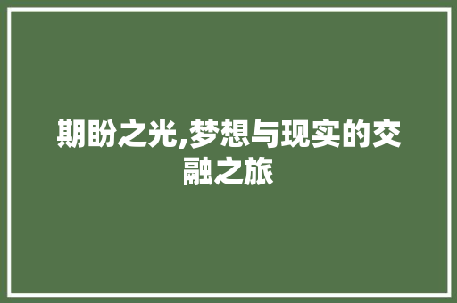 期盼之光,梦想与现实的交融之旅