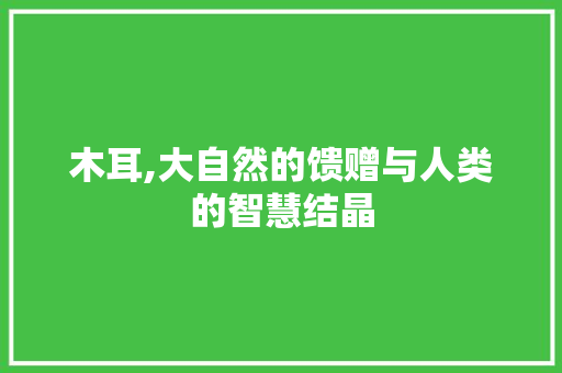 木耳,大自然的馈赠与人类的智慧结晶