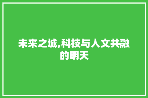 未来之城,科技与人文共融的明天