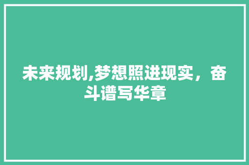 未来规划,梦想照进现实，奋斗谱写华章