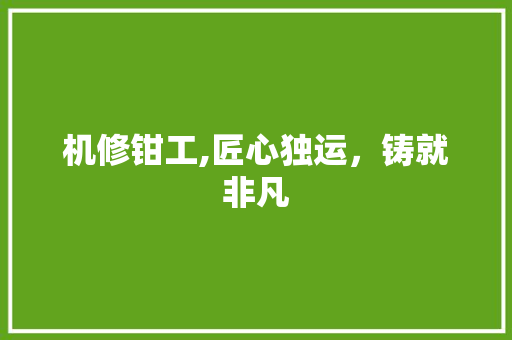 机修钳工,匠心独运，铸就非凡