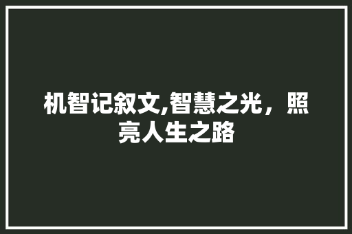 机智记叙文,智慧之光，照亮人生之路