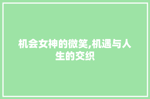 机会女神的微笑,机遇与人生的交织