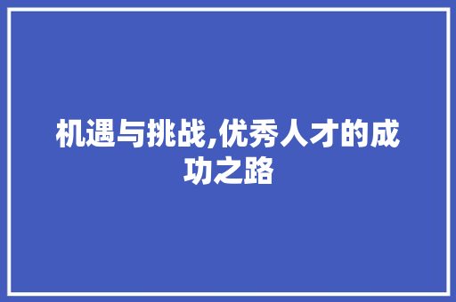 机遇与挑战,优秀人才的成功之路