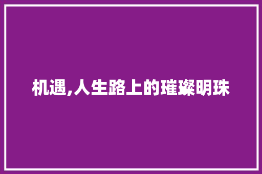 机遇,人生路上的璀璨明珠