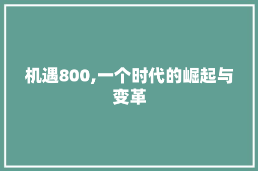 机遇800,一个时代的崛起与变革