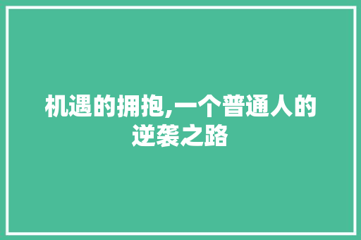 机遇的拥抱,一个普通人的逆袭之路