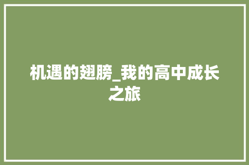 机遇的翅膀_我的高中成长之旅