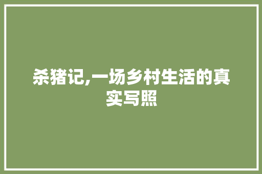 杀猪记,一场乡村生活的真实写照