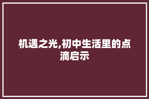 机遇之光,初中生活里的点滴启示