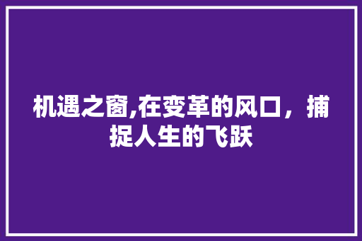 机遇之窗,在变革的风口，捕捉人生的飞跃