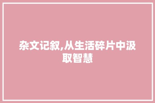 杂文记叙,从生活碎片中汲取智慧