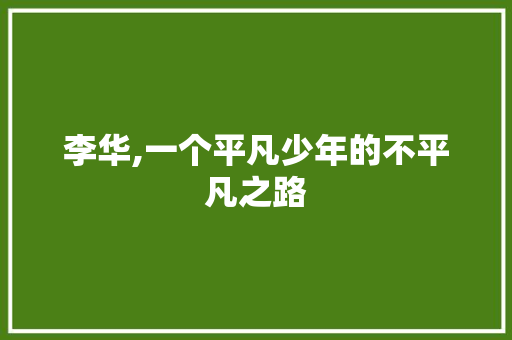 李华,一个平凡少年的不平凡之路