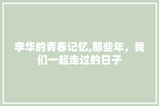 李华的青春记忆,那些年，我们一起走过的日子