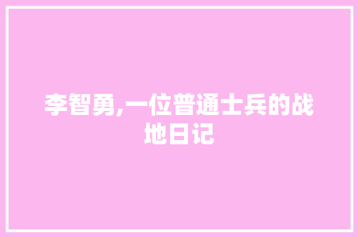 李智勇,一位普通士兵的战地日记