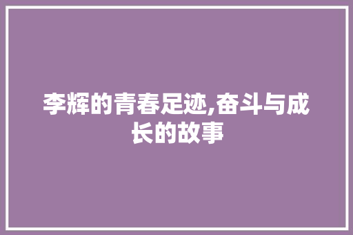 李辉的青春足迹,奋斗与成长的故事