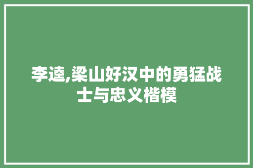 李逵,梁山好汉中的勇猛战士与忠义楷模