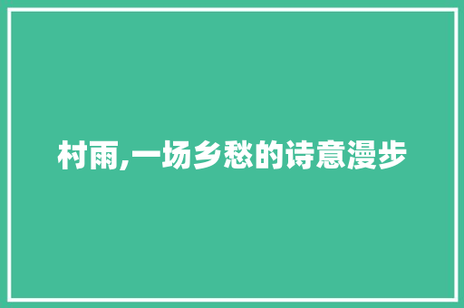 村雨,一场乡愁的诗意漫步